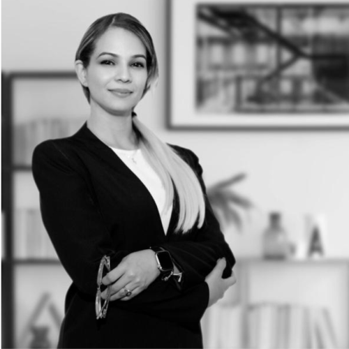 Abogados y contadores